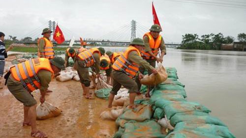 День борьбы с тайфунами и наводнениями, минимизации последствий стихийных бедствий - ảnh 1